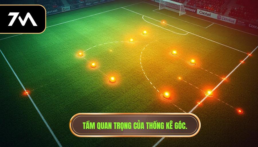 Tầm quan trọng của thống kê góc